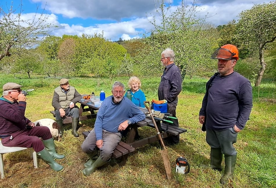 Bere Ferrers orchard hosting open afternoon