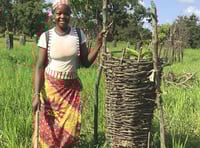 Chagford charity helps African farmers set up new orchards