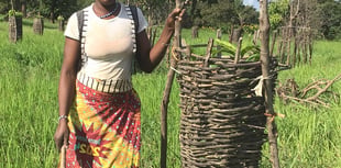 Chagford charity helps African farmers set up new orchards