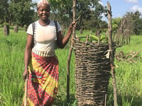 Chagford charity helps African farmers set up new orchards