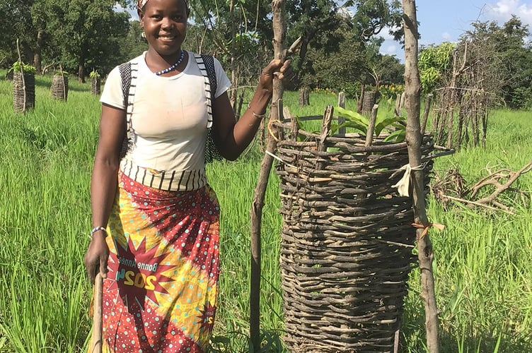 Rokia Dembele with a locally made tree guard 