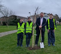 School plants trees to mark blossoming friendship