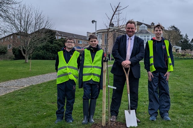 School plants trees to mark blossoming friendship