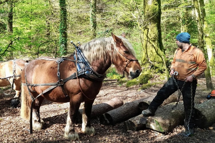 Tom Shiner-McGinley.