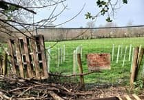 Resident fights Calstock footpath closure