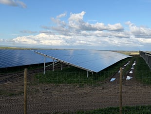Devon charity opposes solar on productive farmland