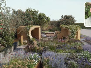 Chelsea spotlight for garden designer’s cancer awareness garden