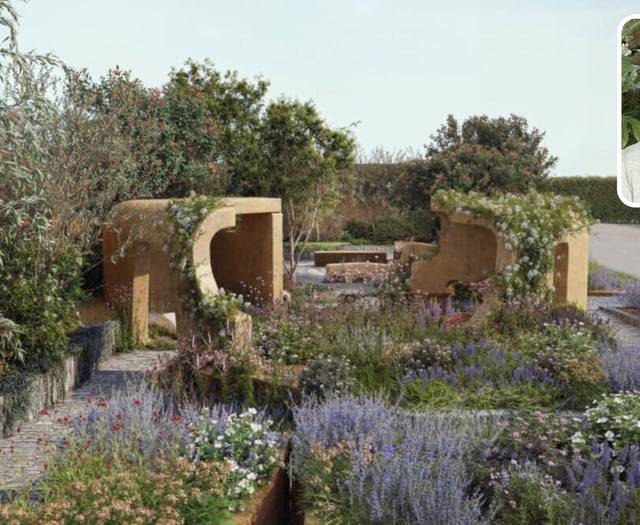 Chelsea spotlight for garden designer’s cancer awareness garden