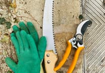 Beware of dangers lurking in the garden ahead of bank holiday weekend