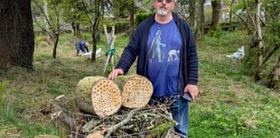 Churchyard volunteers get to work on invasive species