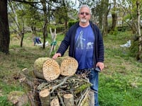 Churchyard volunteers get to work on invasive species