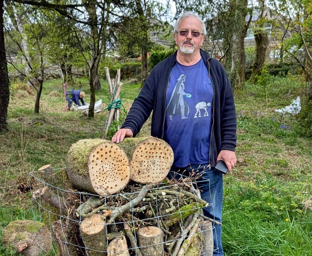 Churchyard volunteers get to work on invasive species