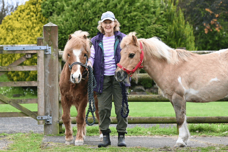 Mare and Foal Sanctuary