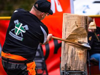 Devon County Show 2026: New Woodland Feature
