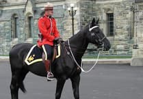 West Devon horse-loving 'Mounties' needed to fight crime
