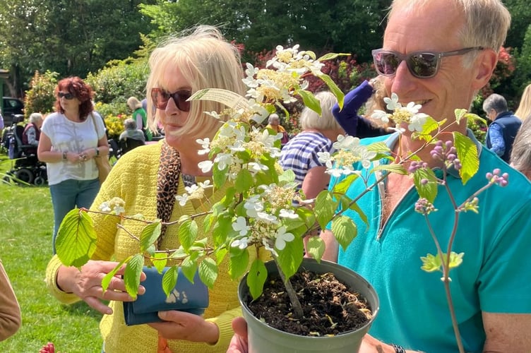 Yelverton NSPCC village annual plant sale and cream tea event harvested record takings.