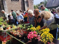 Charity plant sale raises record amount