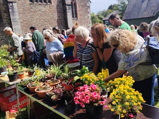 Charity plant sale raises record amount