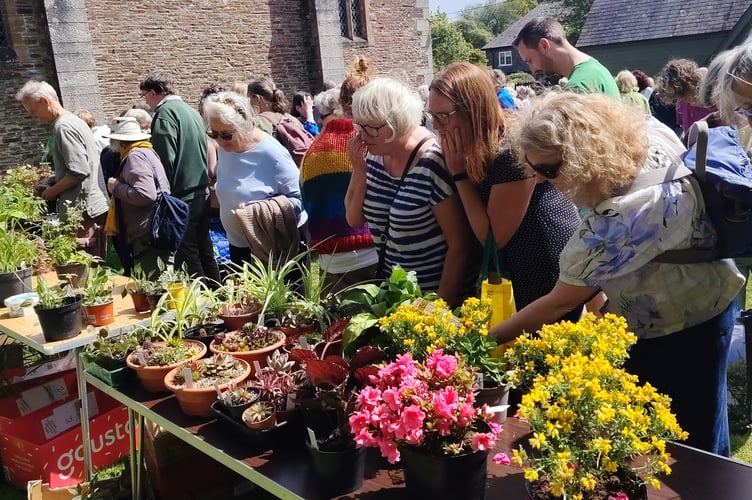 Yelverton NSPCC committee recorded record taking from its annual plant sale and cream teas.