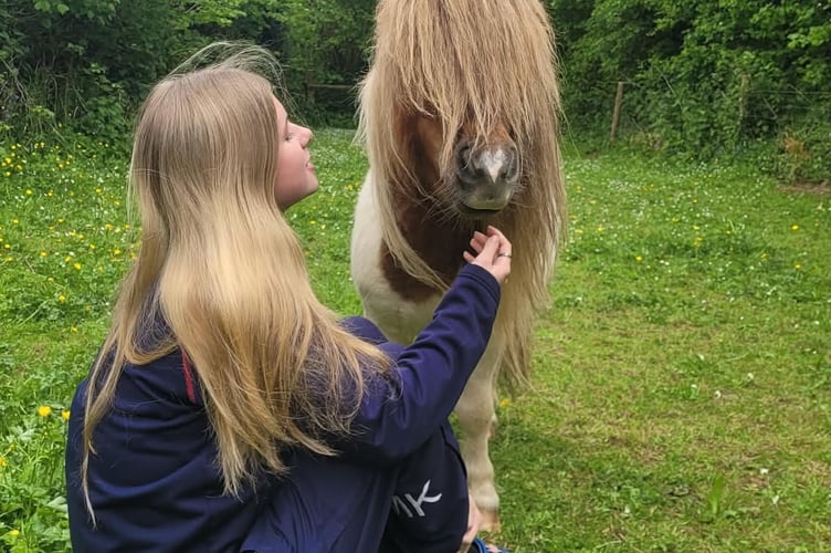 Lauren Blamey, 15, with her beloved pony, injured by a dog chase.