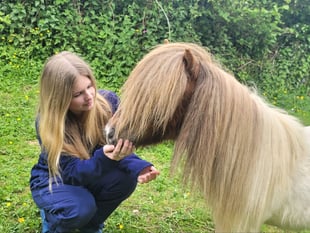 Police appeal to dog owner after pony injured