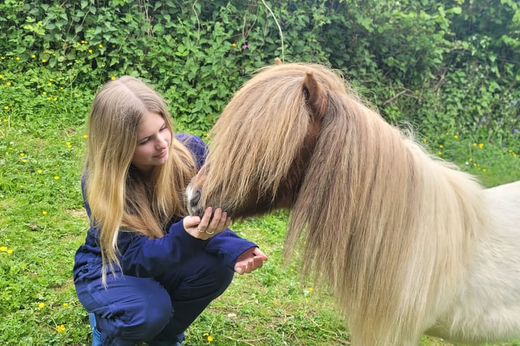 Lauren Blamey, 15, with her beloved pony, injured by a dog chase.