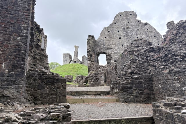 Bluebells bloom at Okehampton Castle