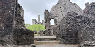 Bluebells bloom at Okehampton Castle
