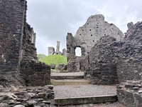 Bluebells bloom at Okehampton Castle