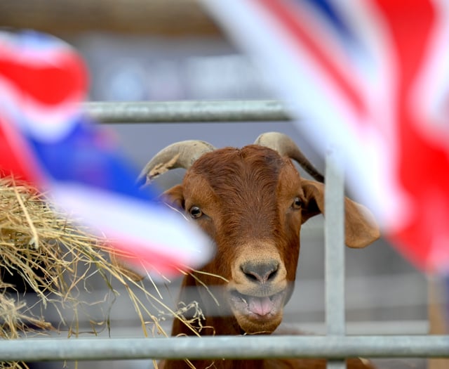 It's showtime - gates open for the 2026 Devon County Show
