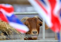 Gates open for the 2026 Devon County Show