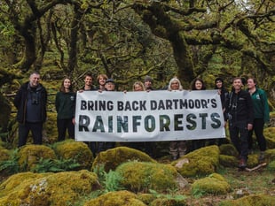 Restoring Dartmoor rainforests gains momentum