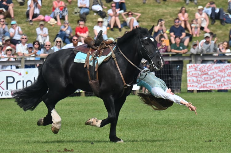 Devon County Show Atkinson Action horses wow the crowds. Photo: MDA/StevePope