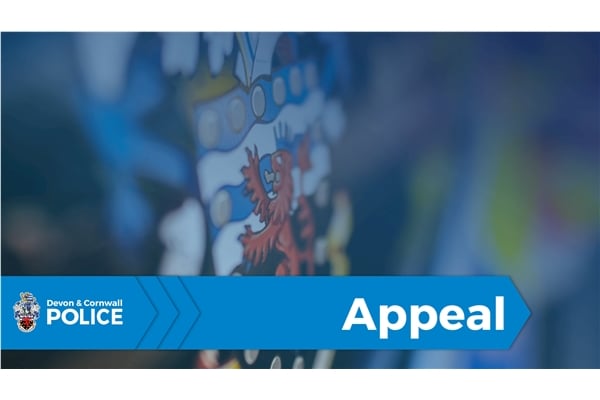 Police are appealing for witnesses and dash-cam footage after a convenience store burglary at Whimple.