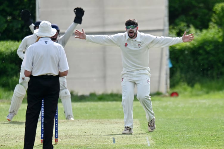 Devon Cricket League C Division West. Chudleigh versus Hatherleigh 2nd XI. Appeal from Hatherleigh bowler Greg Solkin