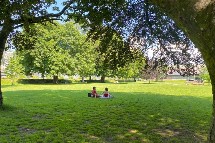Young friends enjoying lunch during the heatwave in the Meadows tree shade in Tavistock.