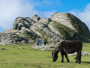 Dartmoor History Day to feature never-before-seen displays