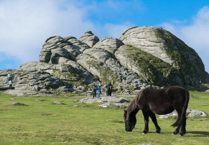 Dartmoor History Day to feature never-before-seen displays