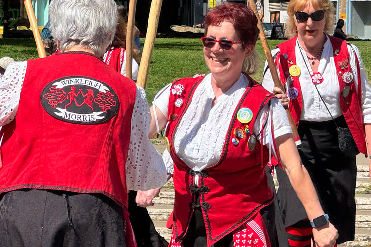 Winkleigh Morris dancers in action.  AQ 2206
