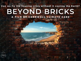 Transition Tavistock invite to midsummer film screening