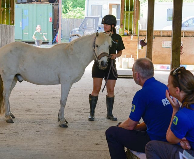 Equine welfare training unites animal charities