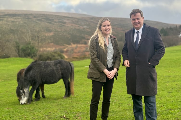 Sir Mel Stride meeting some Dartmoor ponies last November, with Sophie Herd from the NFU.