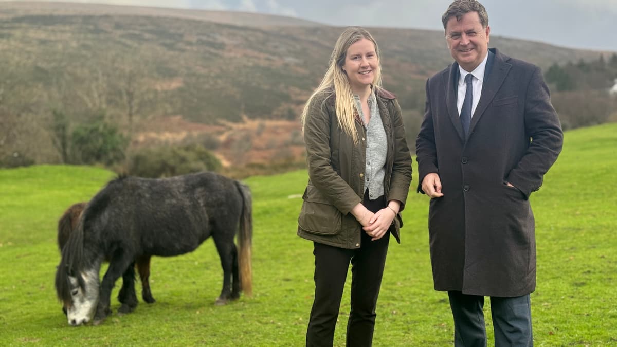 Abgeordneter für Central Devon bezeichnet Pony-Gefahr als „völligen ...