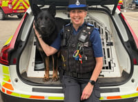 Families enjoy meeting those looking after us