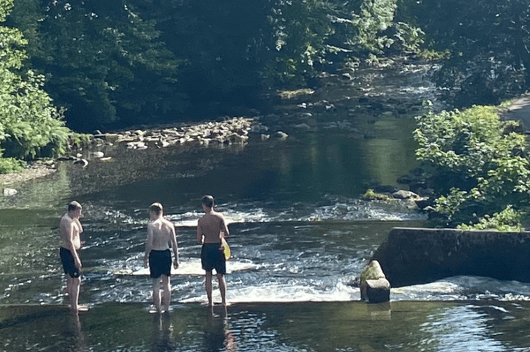 Keeping cool in the River Tavy at Tavistock.