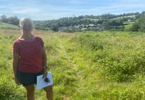 Another 'blot' on the Tavistock landscape looms