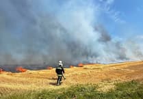 Tavistock firefighters tackle multiple heatwave wildfires
