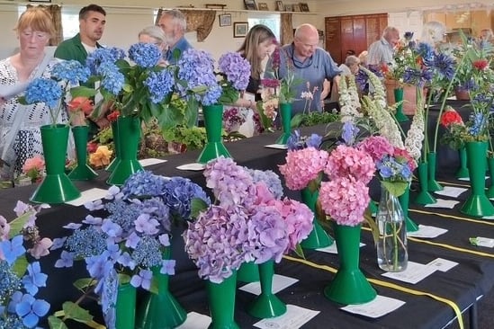 Villagers admire the blooms of green fingered residents at Bere Alston Flower and Produce Show.