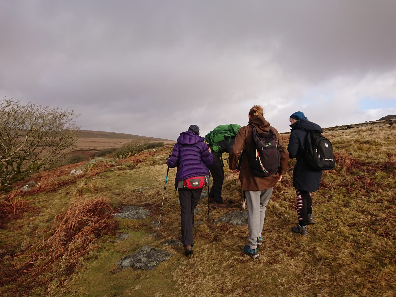 Dartmoor Outdoor Festival photo by Richard Matthews.