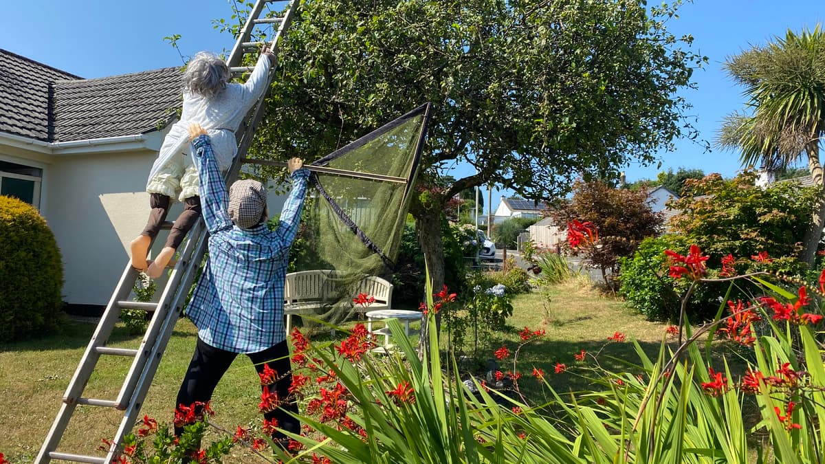 Bere Alston erblüht mit Blumen und Vogelscheuchen